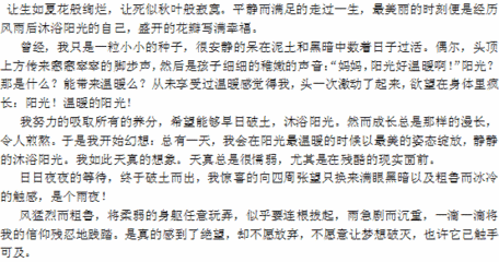 快乐的成长_400个单词