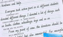 08日照市中考满分作文《我依然飞翔》_900字