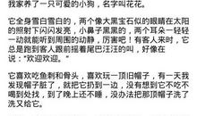 [PK赛]关于动物的作文：我的拉比小仓_400字