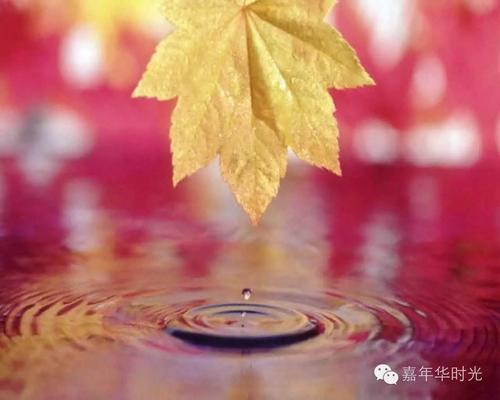 秋雨_450话