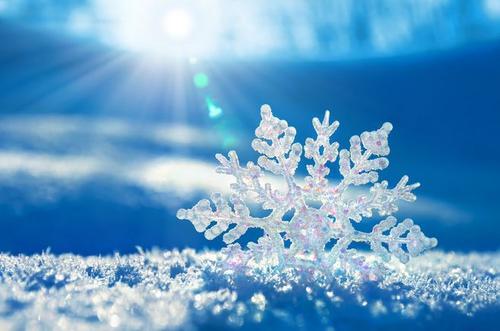 冬季雪花使者_500字