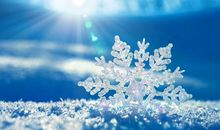 冬天的使者——雪花_500字