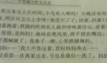 [PK赛]关于经历的作文：微笑_650字