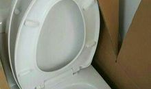 发明家名人故事：抽水马桶_1500字