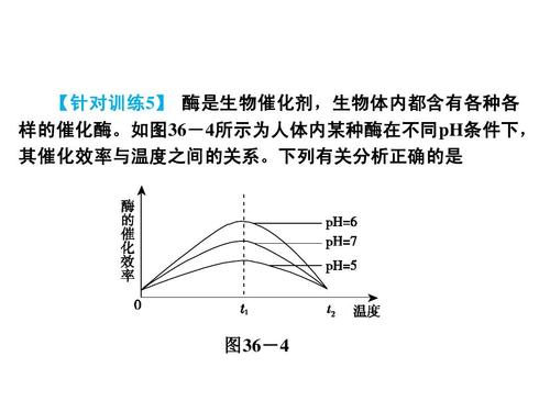 绍兴市高中2008年全班作文《给父母的一封信》 _750字