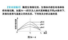 08年绍兴市中考满分作文《给父母的一封信》_750字