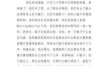 初一叙事作文：大别山石窟一日游_800字