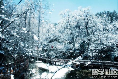 我喜欢雪_600字
