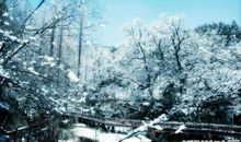 我喜欢下雪_600字