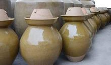 会叫的泡菜坛子_650字