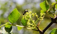 出人预料的一件事_800字