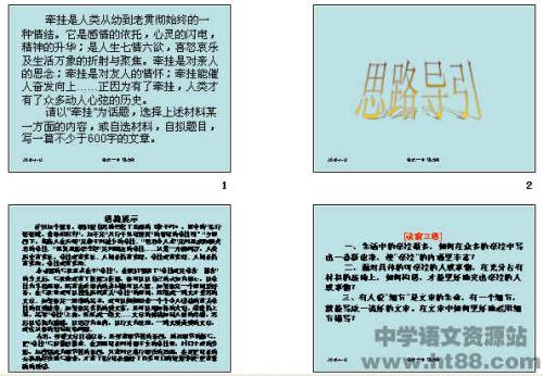 2008年海南省高考全场作文及评论“忧” _700字
