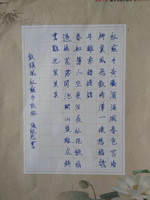 我是“肌腱” _700字