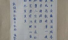 我是 “一根筋”_700字