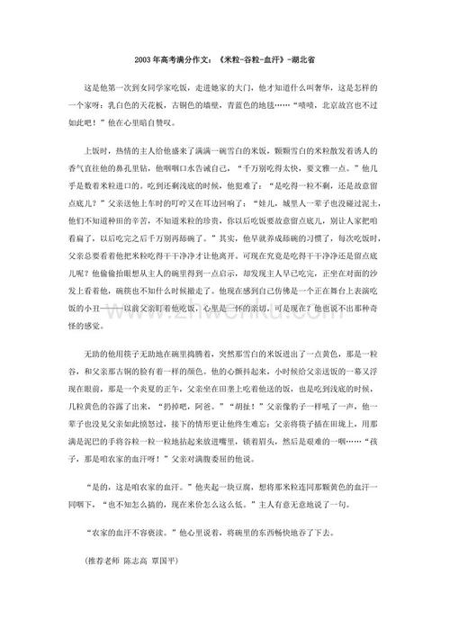 湖北省2003年高考全场作文-“米粒血汗” _800字