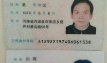 五年级日记：爸爸、妈妈，我希望你们给我一点自由！_400字