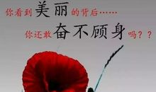 没有硝烟的“战争”_800字