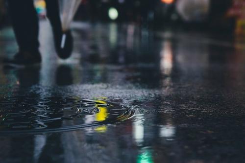伸手去接雨_650字