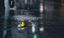 伸手接雨的我_650字