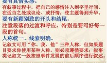08年陕西省中考满分作文及点评《做个有心人》(2)_900字