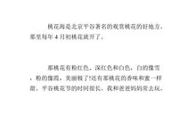 五年级日记：和朋友一起打游戏_250字