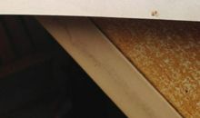 五年级日记：篮球我最好的朋友_250字