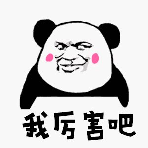 五年级日记：这条街上最聪明的男孩_300字