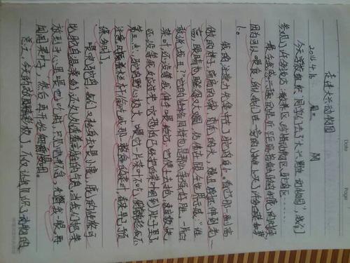 五年级日记：买refill_200字