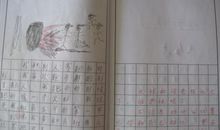 五年级日记：最难忘的12岁生日_650字