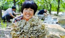 [PK赛]关于动物的作文：我的“栗栗”_900字