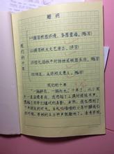 五年级日记：鼓队_450字