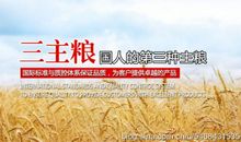 读《狼图腾》有感_750字