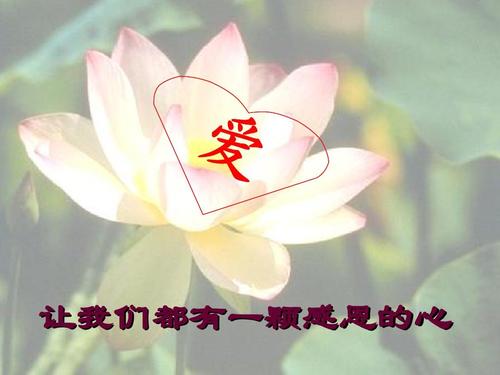 让感恩的心飞过_800字
