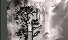 高山流水觅知音_1200字