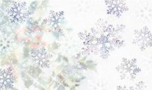 啊，洁白的雪花_800字