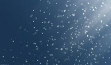 关于雪花的作文：梦里的雪花_100字