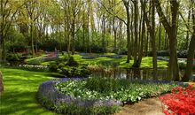 我在大森林里迷了路_800字