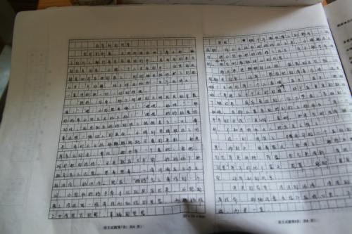 2008年度常州高考优秀作文《告别英雄》