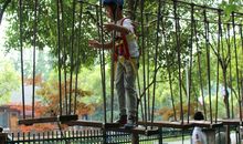 第一次去“森林探险”_500字