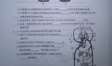 2008内蒙赤峰中考满分作文赏析——细节的自白_1500字