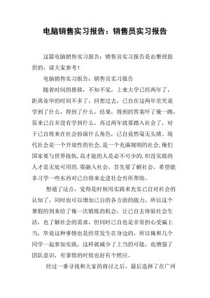 销售计算机实践报告_400字