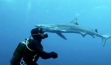 一次海底探险_400字