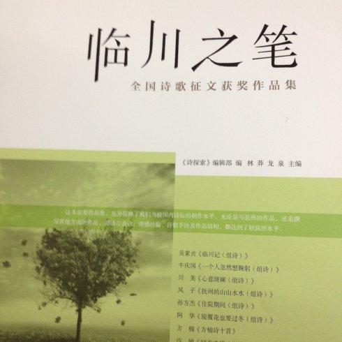 [2013夏季随笔]现代诗歌鉴赏_1000字