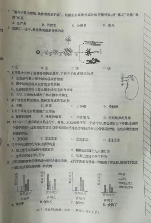 2008年内蒙古赤峰高中入学考试全场作文欣赏_900字