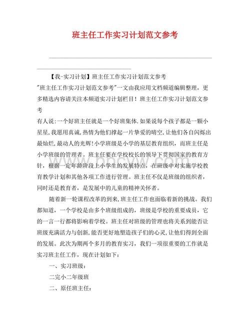 班主任实习计划模板（1）