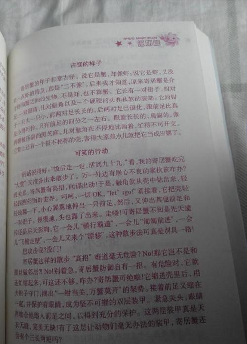 [PK赛]关于动物的构图：我最喜欢的动物_450个单词