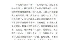 五年级日记：愉快的一天_450字