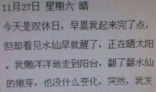 五年级日记：去海边_400字