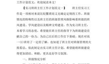 班主任实习计划模板（二）