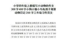 [PK赛]关于动物的作文：永远的小兔子_1000字